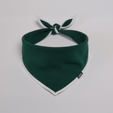 Bavaglino per cani Bandana verde per animali domestici