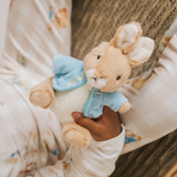 Peter Rabbit™ Ultimate Gift Set (8 pieces)